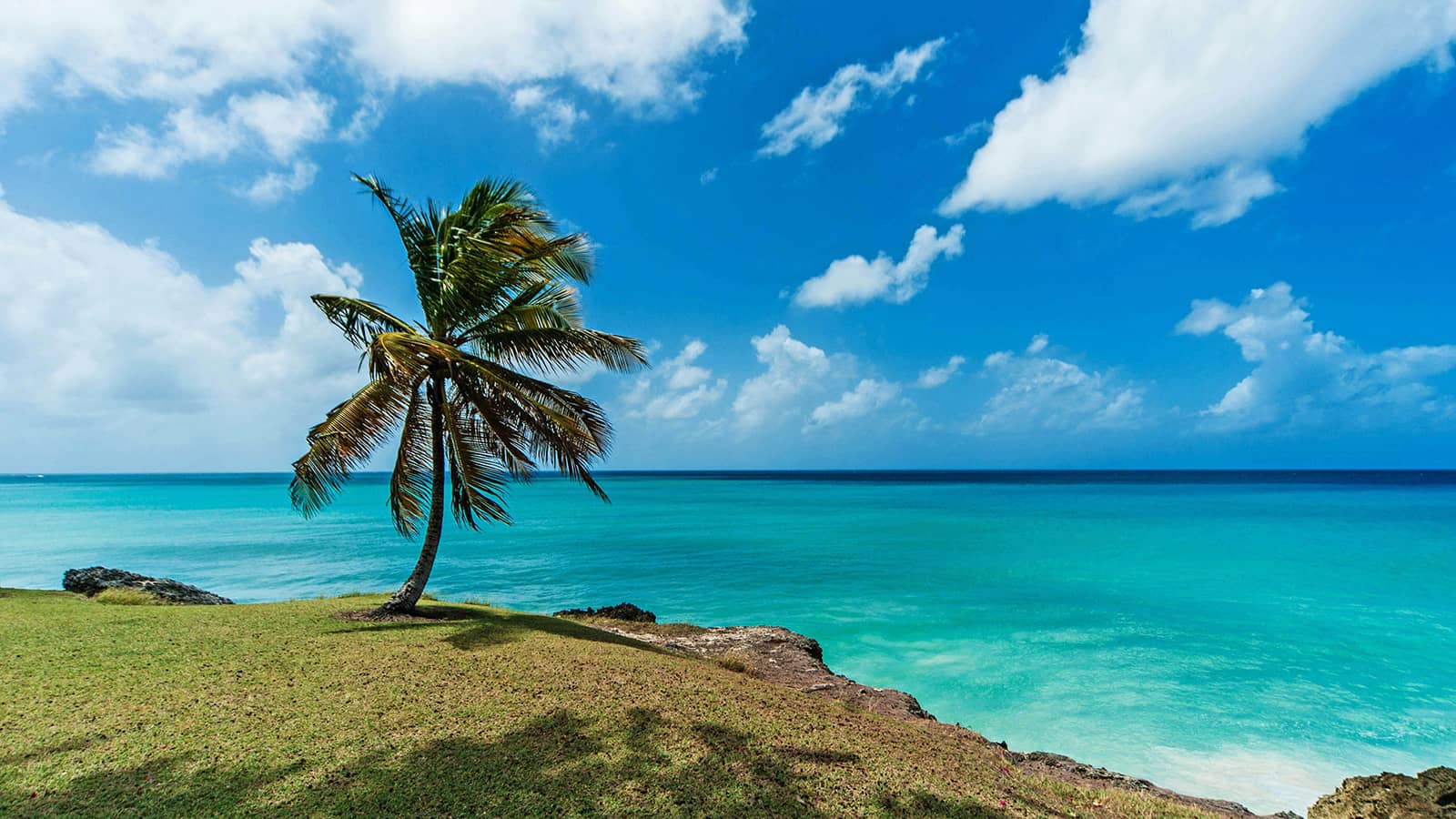 Tropical beach